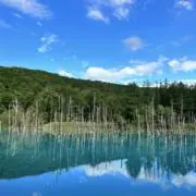 Image of Yu