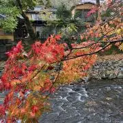 まっくろの画像