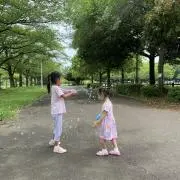 花の画像