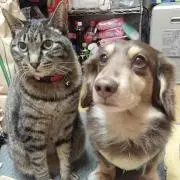 すぱぽち