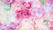 mflower❁の画像