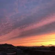 tmgrの画像
