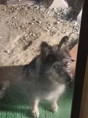 alejandro