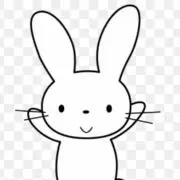 うさこの画像