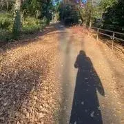 Yukariの画像