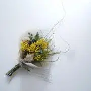 ischiaの画像