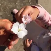 hitomilyの画像