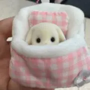 りあの画像
