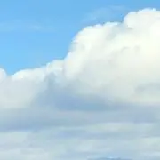 炊飯器になりたいの画像
