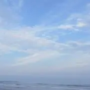 みさ⭐️即購入OKの画像