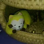なかむら