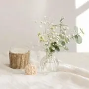 sasaの画像