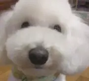まっくす