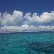 kikichabooの画像