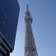 バッファローの画像