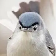 ちゅん　交渉可の画像