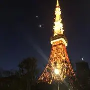 フレンチブルーの画像