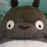 かもめの画像