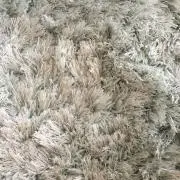 sunnyの画像