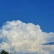 EMの画像