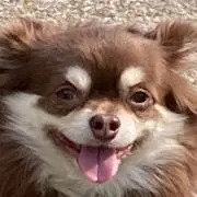 せいかい プロフ見てね！の画像