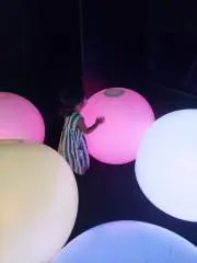 すむりの画像