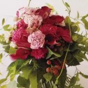 hanaの画像