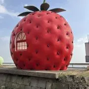 ダルビッシュ祐の画像
