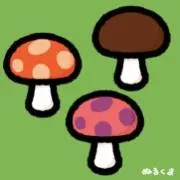 pikopikokinokoの画像