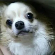 なか