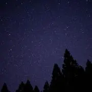 ポルんが