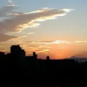 みかんかんの画像
