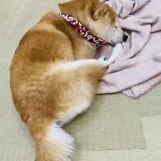 柿ピーの画像