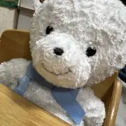 y124 ⭐︎即購入OK〜!⭐︎の画像