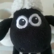 Shaun＊プロフ必読の画像