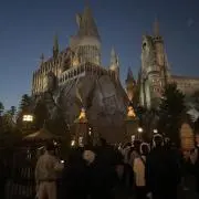 reoの画像