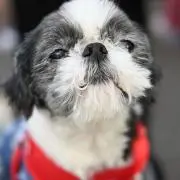 tokiwaiの画像