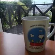 PEANUTS