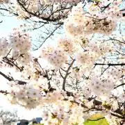 ☆さとみん☆の画像