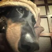 しお、の画像