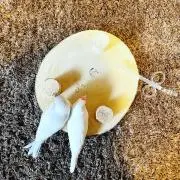 kuuの画像