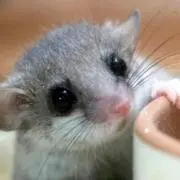 N。プロフ必見の画像