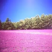 ７月１６日から８月６日まで発送停止の画像