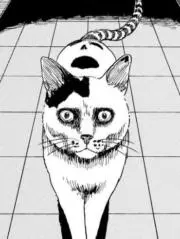 TAKAKO
