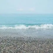ラック