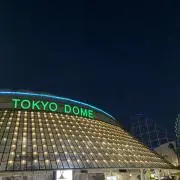 さとうの画像
