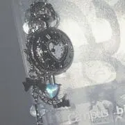 snの画像