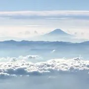 raraの画像
