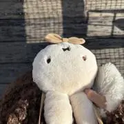 ななこの画像