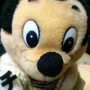 はっちの画像